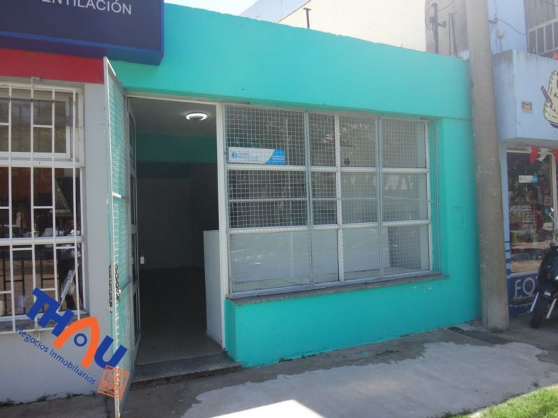 BROWN 2200 - Thau David Adrian - 18