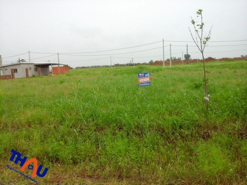 RP18 TERRENO 290 00 - Thau David Adrian - 7