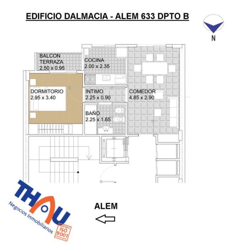 ALEM 600 - Thau David Adrian