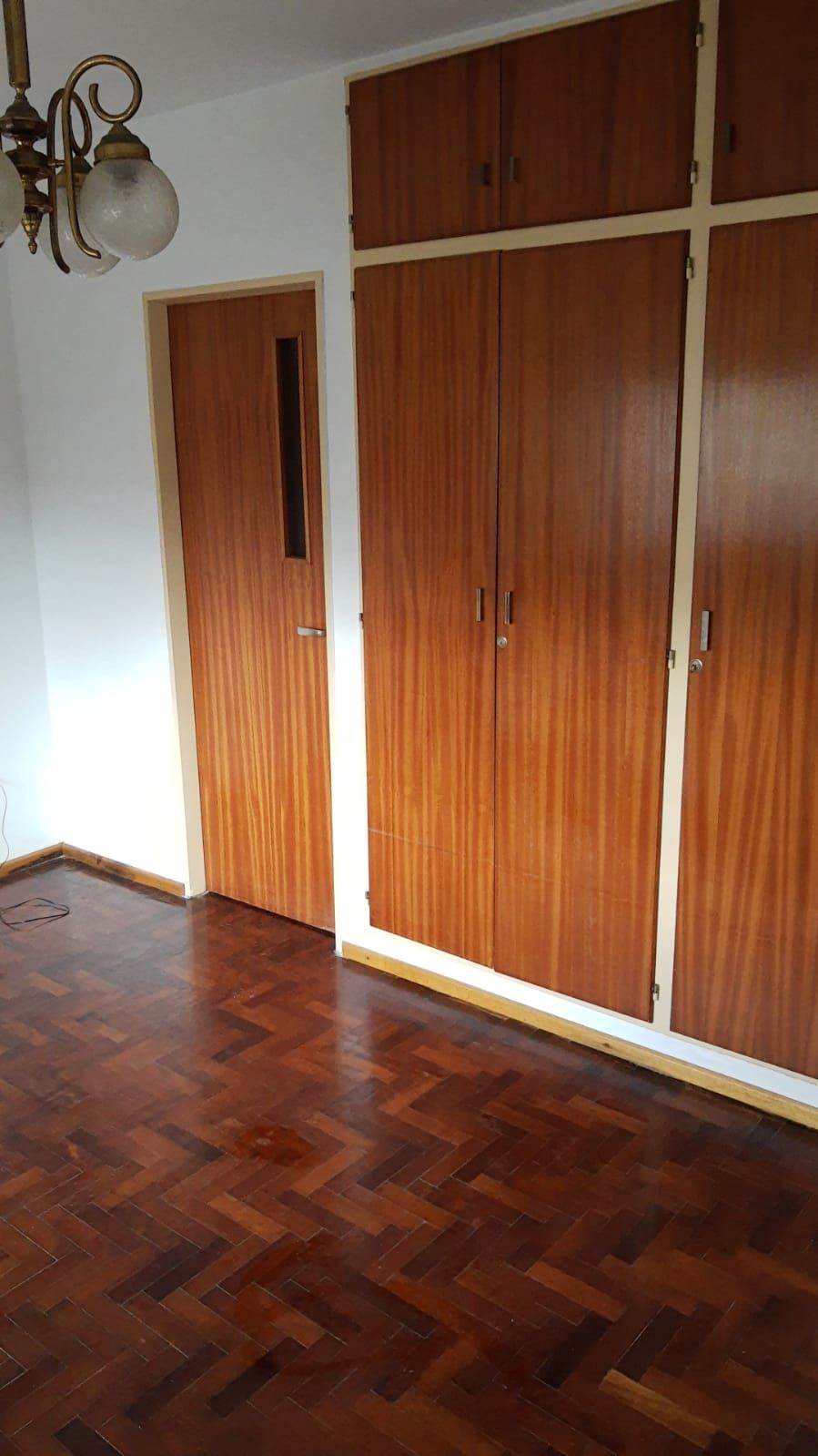 PAVON 5400 - Adolfo Ferrari — foto 4