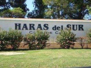 Haras del sur 00 - Building Inmobiliaria