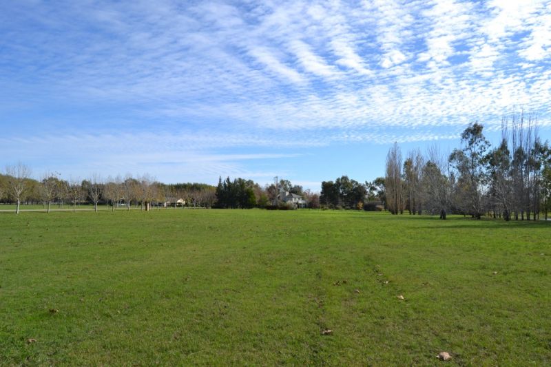 Ruta 2 HARAS DEL SUR e/ y N° 232 200 - Building Inmobiliaria