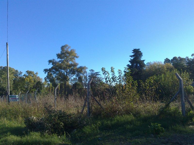 Camino General Belgrano 3300 - Building Inmobiliaria — foto 3