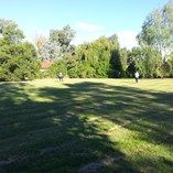 Ruta 2 / Haras del Sur e/ y 00 - Building Inmobiliaria