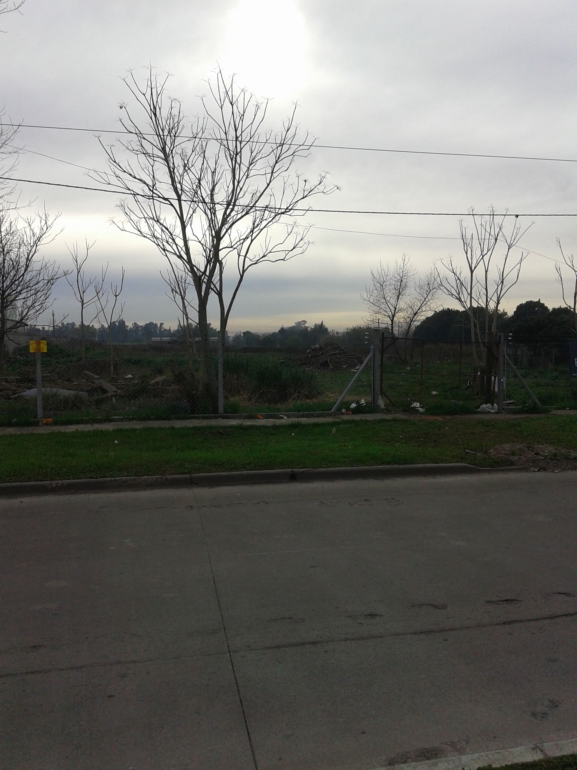 calle 143 e/ 36 y 37 s00 - Building Inmobiliaria