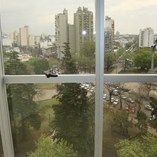 PLaza Italia 32/00 - Building Inmobiliaria — foto 4