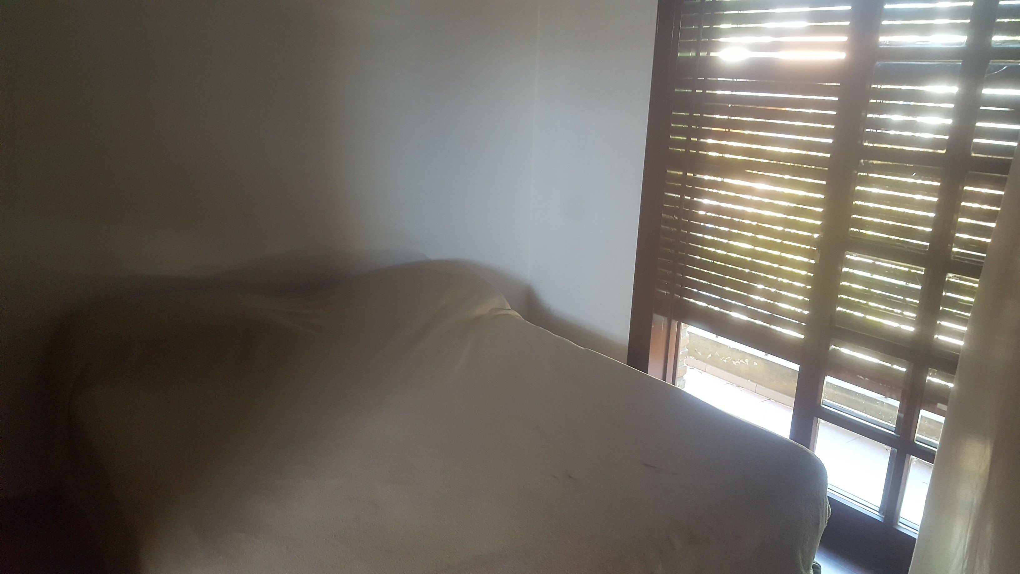 calle 56 e 22 y 23 1300 - Building Inmobiliaria — foto 7