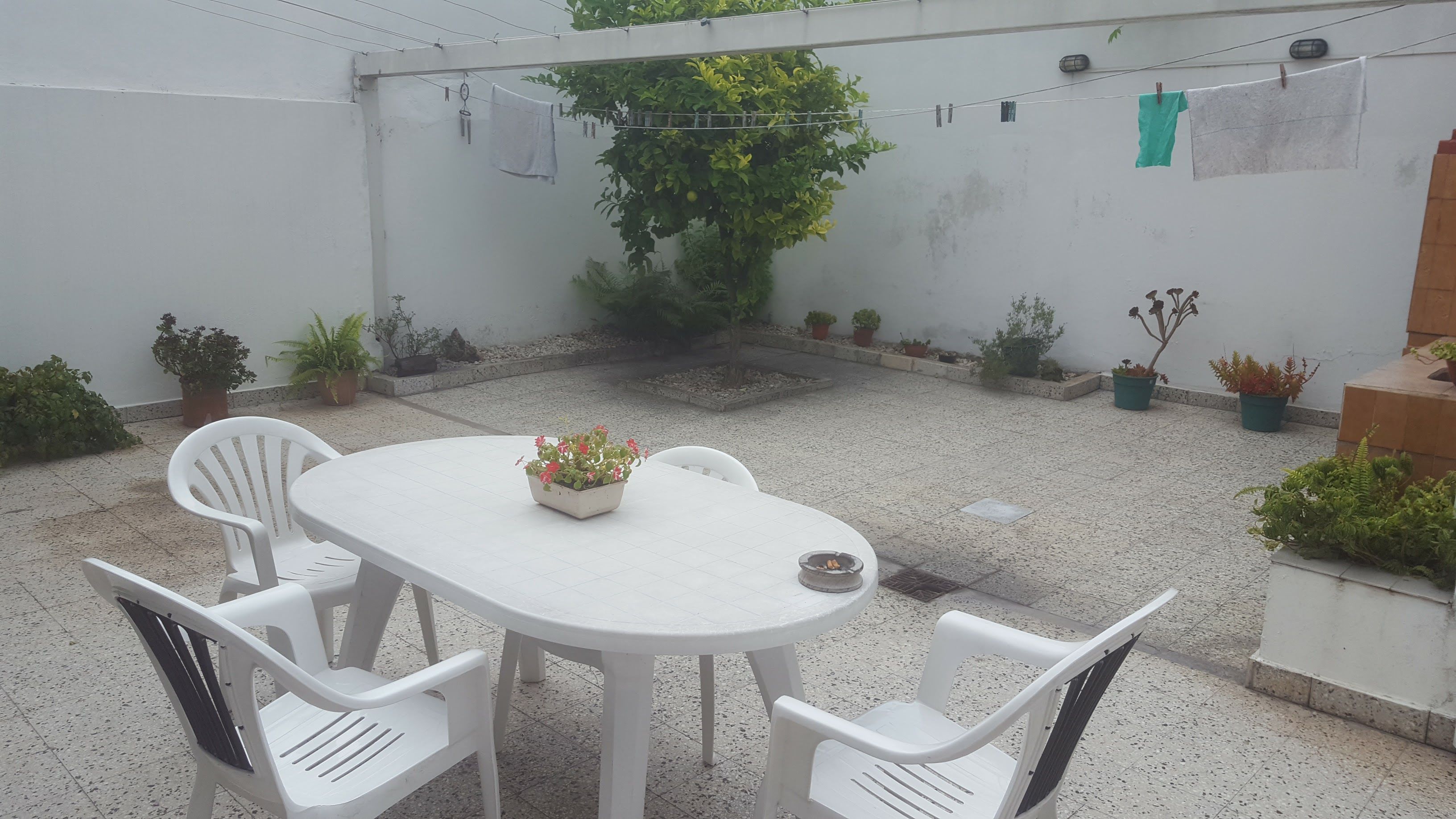 CALLE 28, 261. (37 y 38) 200 - Building Inmobiliaria — foto 6