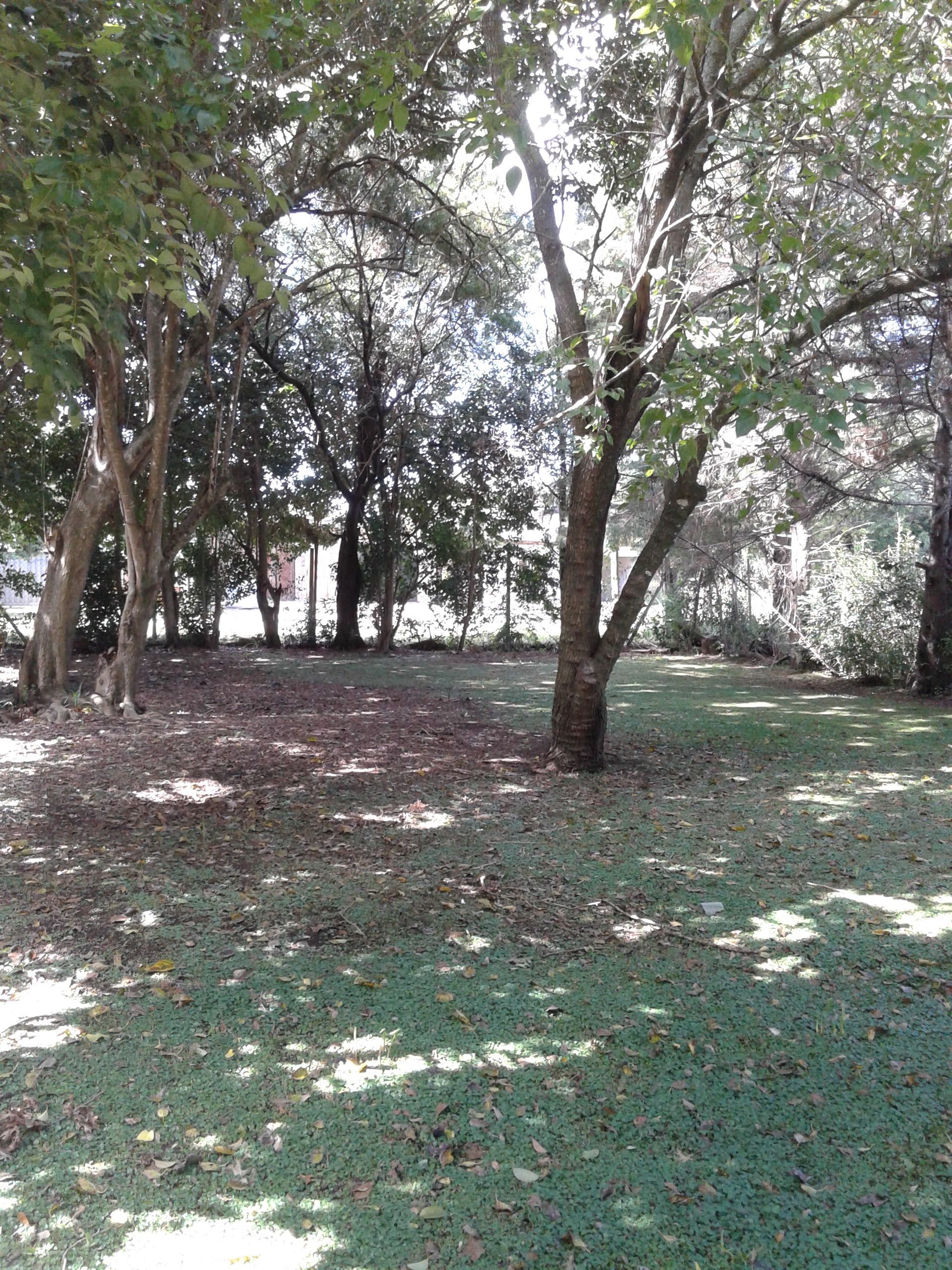 41 5100 - Building Inmobiliaria — foto 15