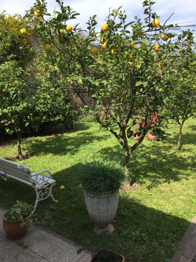 Dr. Riva 700 - Inmobiliaria Jose Abiad — foto 11