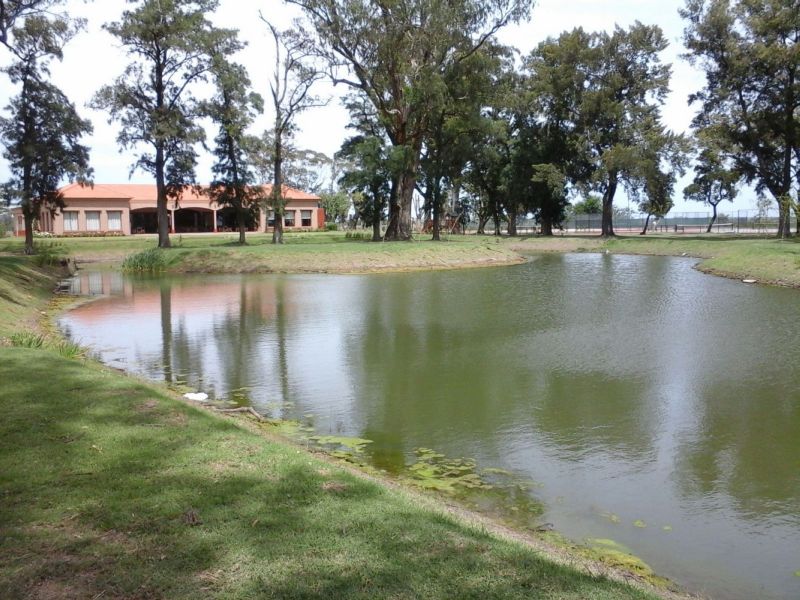 Ruta 00 - Lincoln Propiedades - 12