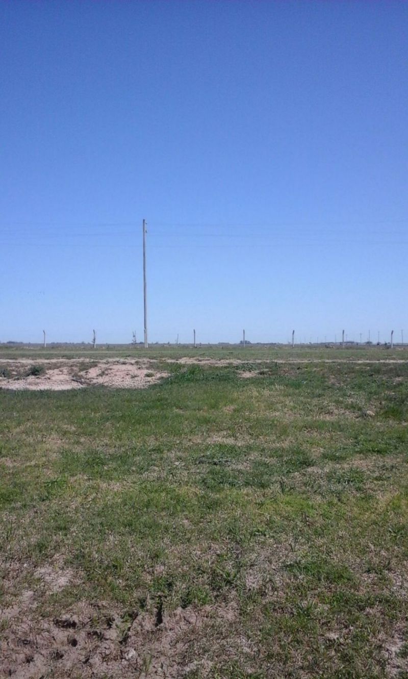 Ruta 00 - Lincoln Propiedades - 14