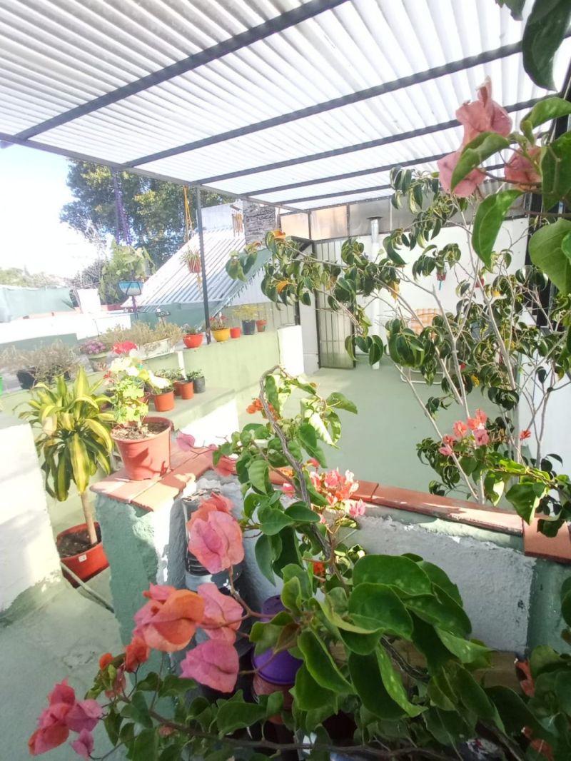 Biedma 800 - Gandino-Galetto Estudio Juridico & Bienes Raices — foto 15