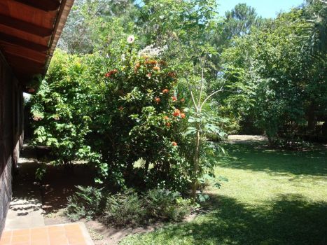 Libertad entre Rivadavia y Uruguay - Weekend Inmobiliaria — foto 6