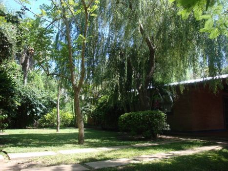 Libertad entre Rivadavia y Uruguay - Weekend Inmobiliaria — foto 2