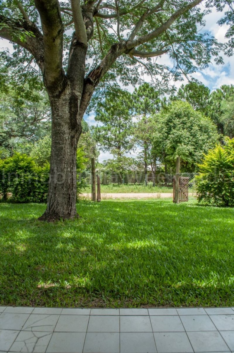 Pessolano entre Monte Caseros y Empedrado - Weekend Inmobiliaria - 20