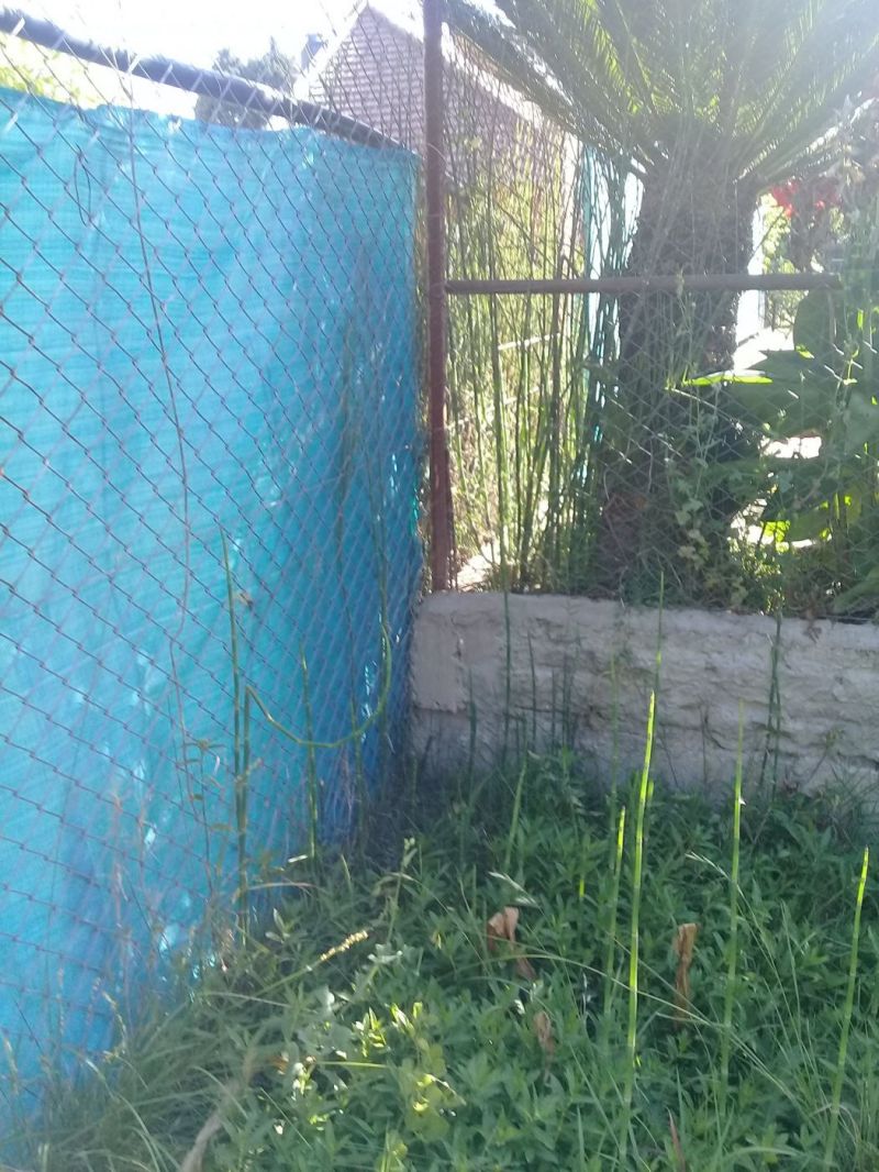 Italiani 700 - Curto Propiedades — foto 11