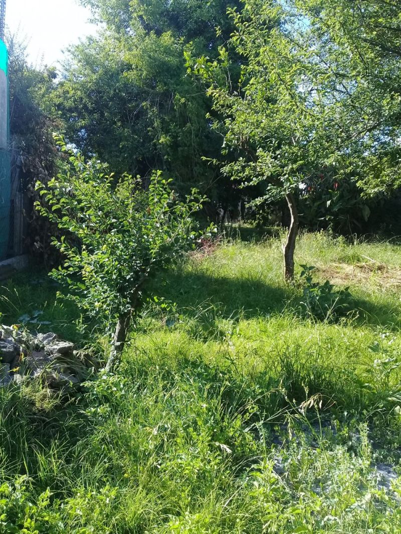 Italiani 700 - Curto Propiedades — foto 12