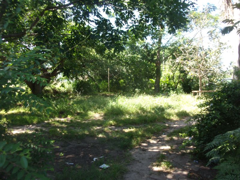 VENDO QUINTA - CORONDA - VERA S/N - Inmobiliaria Zucco — foto 6