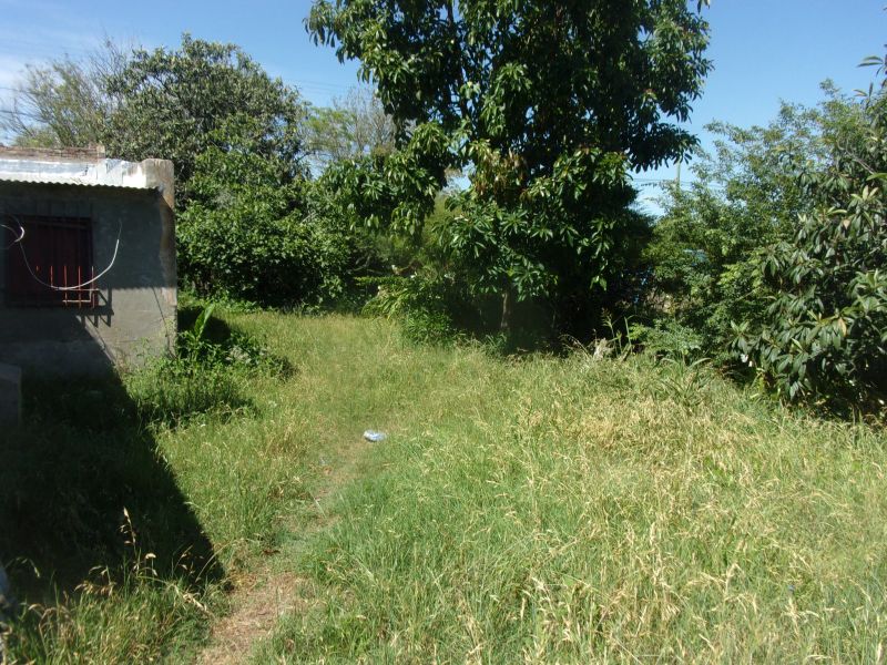 VENDO QUINTA - CORONDA - VERA S/N - Inmobiliaria Zucco — foto 10