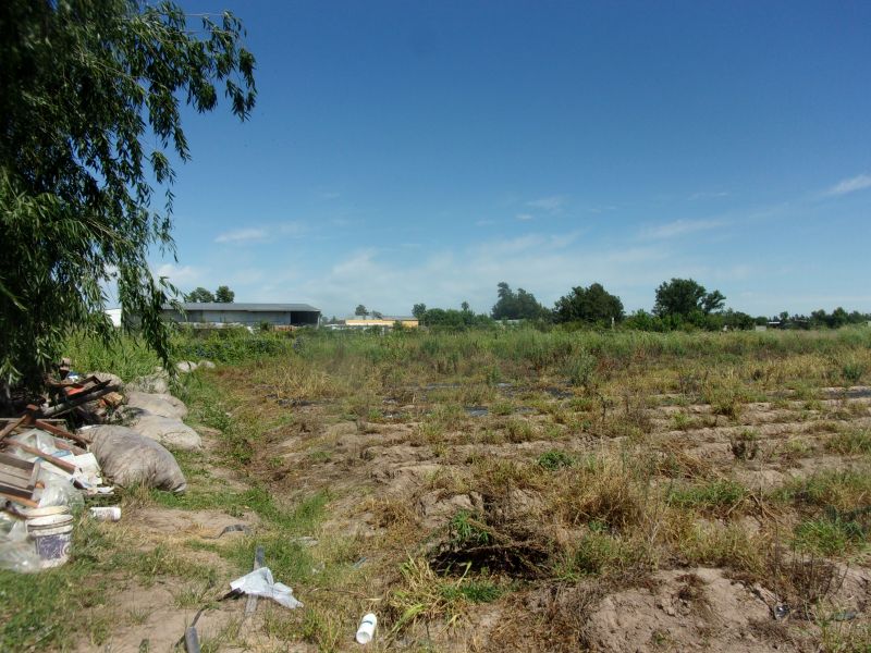 VENDO QUINTA - CORONDA - VERA S/N - Inmobiliaria Zucco — foto 5