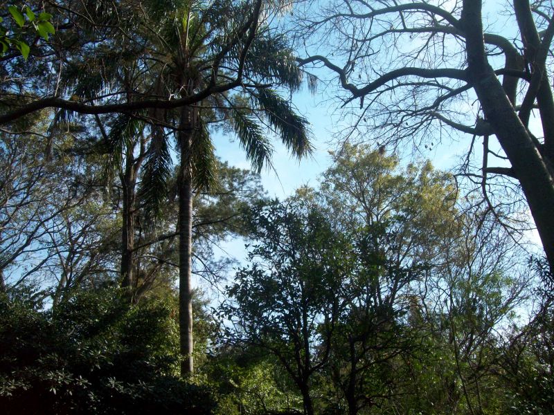 VENDO CASA QUINTA SOBRE EL RÍO CORONDA - Inmobiliaria Zucco - 6