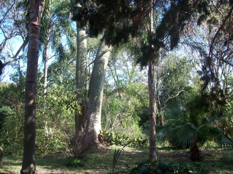 VENDO CASA QUINTA SOBRE EL RÍO CORONDA - Inmobiliaria Zucco - 3