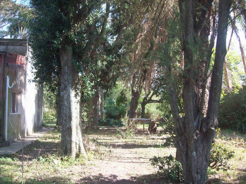 VENDO CASA QUINTA SOBRE EL RÍO CORONDA - Inmobiliaria Zucco - 8
