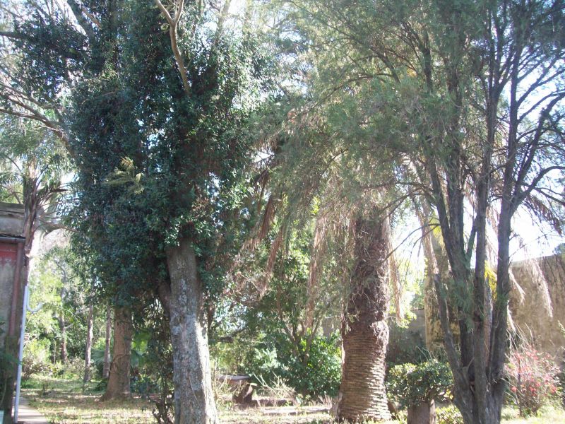 VENDO CASA QUINTA SOBRE EL RÍO CORONDA - Inmobiliaria Zucco - 9