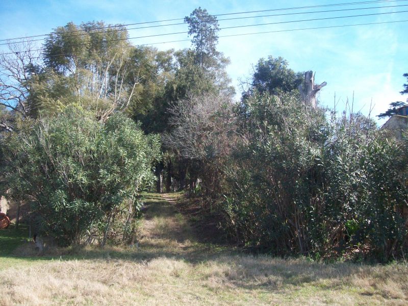 VENDO CASA QUINTA SOBRE EL RÍO CORONDA - Inmobiliaria Zucco - 11