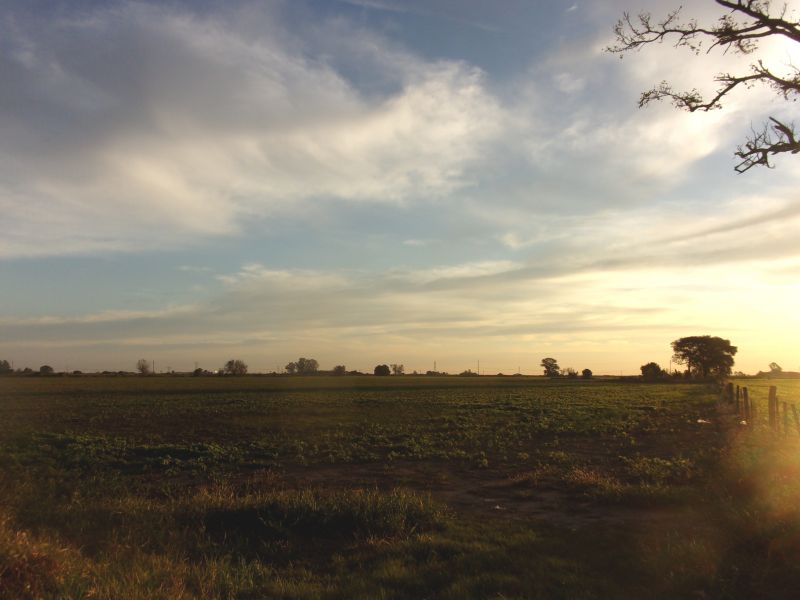 EN VENTA 8 HECTAREAS DE CAMPO - BARRANCAS - Inmobiliaria Zucco - 4