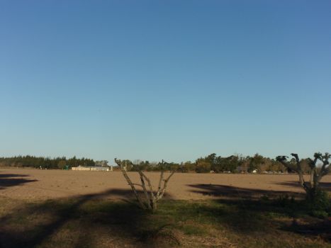 VENDO QUINTA DESVIO ARIJON ZONA BARRIO INQUIMAR - Inmobiliaria Zucco - 9