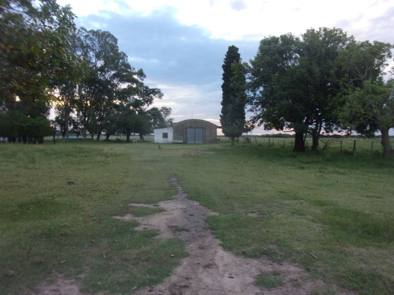 En Venta 250 HAS. CAMPO MIXTO - CORONDA - STA FE - Inmobiliaria Zucco - 2