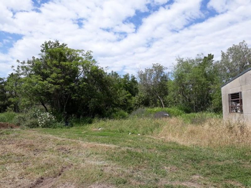 En Venta Establecimiento frutihortícola - Bº Basualdo Coronda - Inmobiliaria Zucco - 10