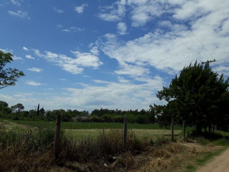 En Venta Establecimiento frutihortícola - Bº Basualdo Coronda - Inmobiliaria Zucco - 14