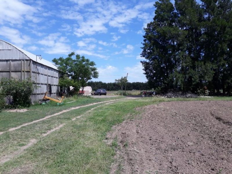 En Venta Establecimiento frutihortícola - Bº Basualdo Coronda - Inmobiliaria Zucco - 3