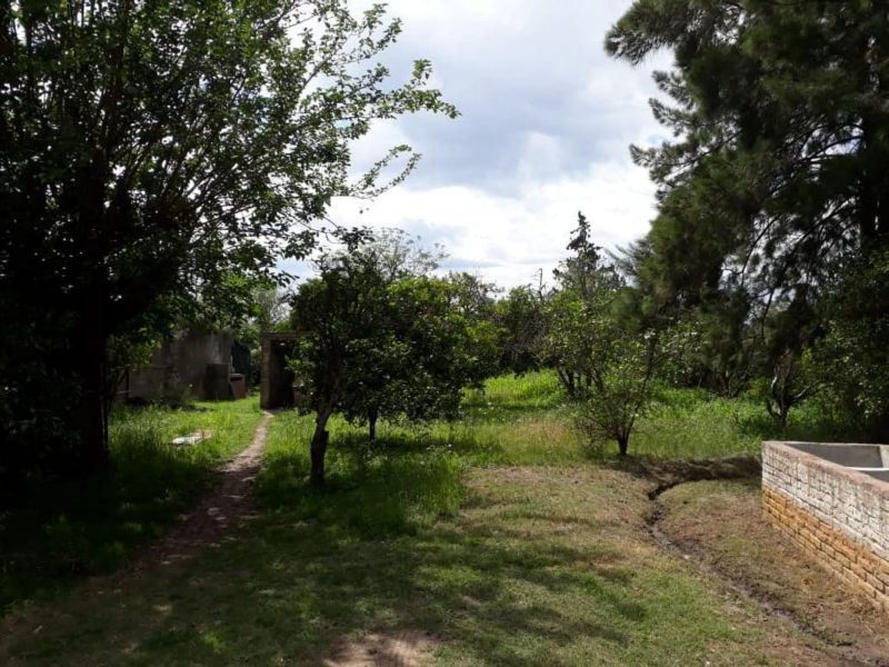 En Venta Establecimiento frutihortícola - Bº Basualdo Coronda - Inmobiliaria Zucco - 4