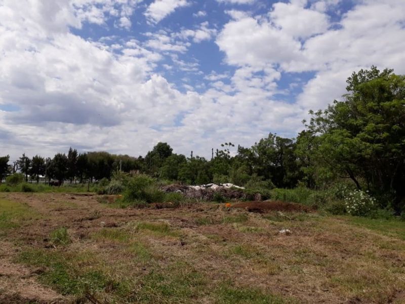 En Venta Establecimiento frutihortícola - Bº Basualdo Coronda - Inmobiliaria Zucco - 5