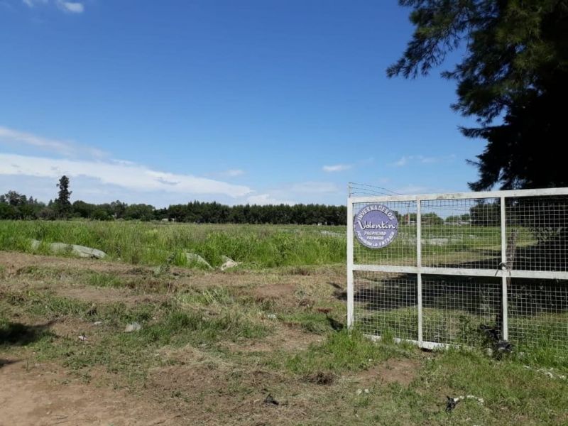 En Venta Establecimiento frutihortícola - Bº Basualdo Coronda - Inmobiliaria Zucco - 7