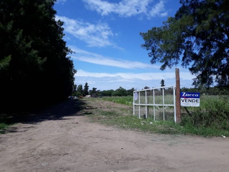 En Venta Establecimiento frutihortícola - Bº Basualdo Coronda - Inmobiliaria Zucco - 8
