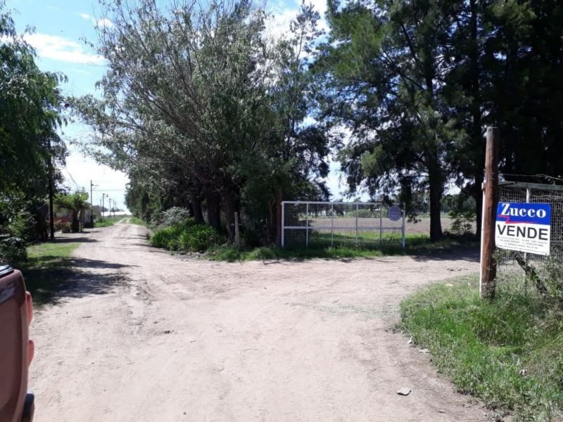 En Venta Establecimiento frutihortícola - Bº Basualdo Coronda - Inmobiliaria Zucco - 9