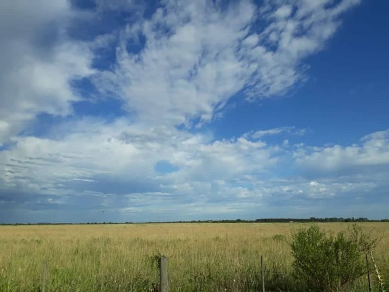 CAMPO EN ALQUILER - CORONDA - Inmobiliaria Zucco - 5