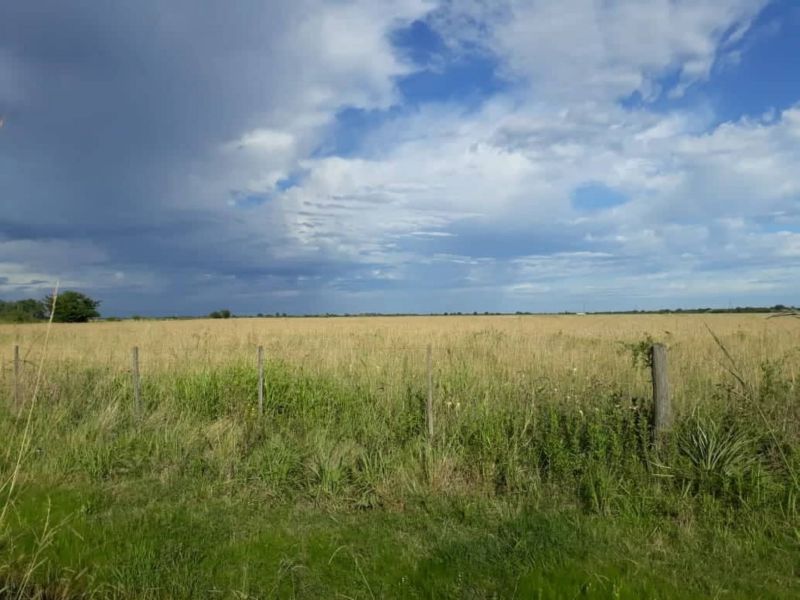 CAMPO EN ALQUILER - CORONDA - Inmobiliaria Zucco - 4