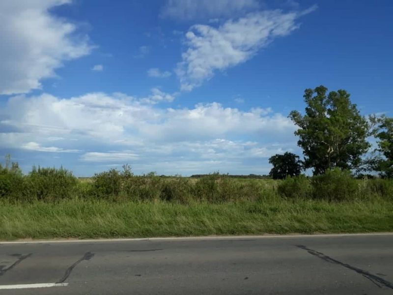 CAMPO EN ALQUILER - CORONDA - Inmobiliaria Zucco - 3