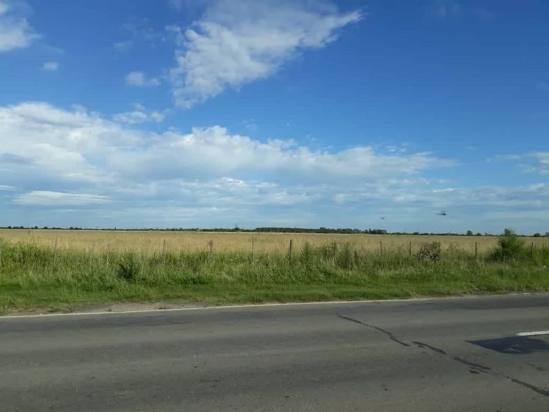 CAMPO EN ALQUILER - CORONDA - Inmobiliaria Zucco - 2