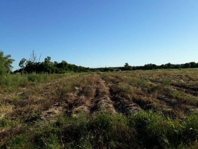 En Alquiler Quinta en Coronda - Zona Sur, Colonia Corondina - Inmobiliaria Zucco - 7