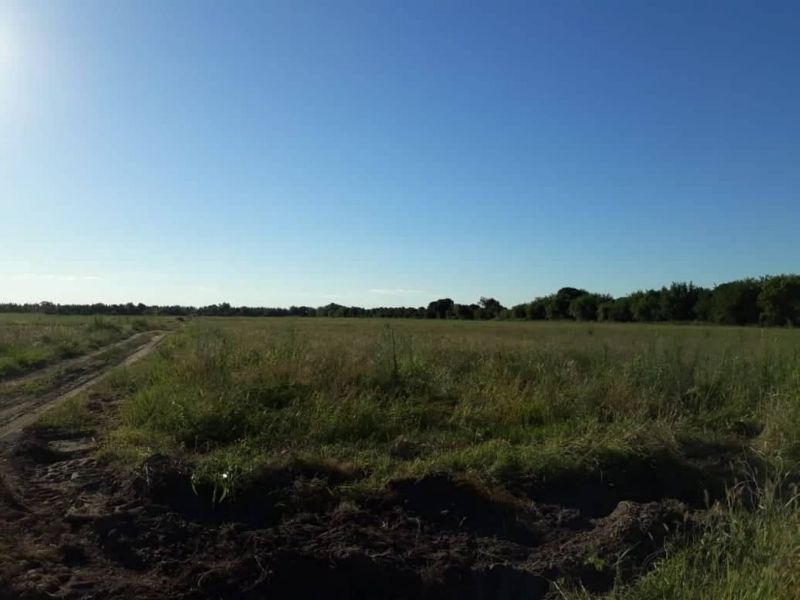 En Alquiler Quinta en Coronda - Zona Sur, Colonia Corondina - Inmobiliaria Zucco - 3