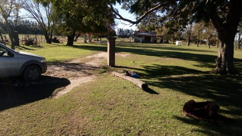 En Venta - Casa quinta con 7 Ha. de terreno - Acceso al Río - Entre Coronda y Desvío Arijón - Inmobiliaria Zucco - 19