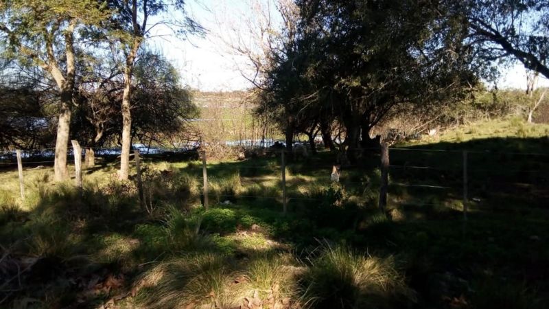 En Venta - Casa quinta con 7 Ha. de terreno - Acceso al Río - Entre Coronda y Desvío Arijón - Inmobiliaria Zucco - 10