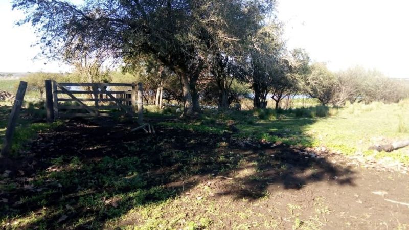 En Venta - Casa quinta con 7 Ha. de terreno - Acceso al Río - Entre Coronda y Desvío Arijón - Inmobiliaria Zucco - 9
